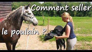 Comment seller le poulain   Débourrage de Clémence partie 6 [upl. by Dunseath192]