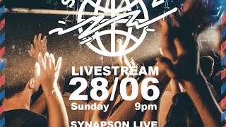 Synapson Live at Caribana Festival 2019 [upl. by Amsirahc]