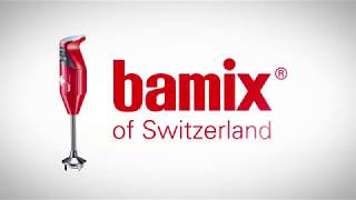 Bamix Immersion Blender – Product Use and Care [upl. by Suez713]