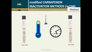 modified Carbapenem Inactivation Method mCIM [upl. by Manchester]