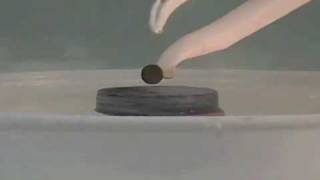 Physics Demo  Superconductor [upl. by Ulphiah]