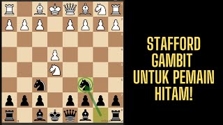 STAFFORD GAMBIT PEMBUKAAN CATUR MEMATIKAN UNTUK PEMAIN HITAM RATING AUTO NAIK [upl. by Melodee]