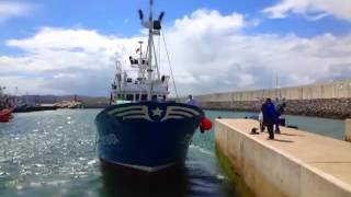 70000kg de Bocarte en el puerto pesquero de Laredo 28052013 480p [upl. by Alvin]