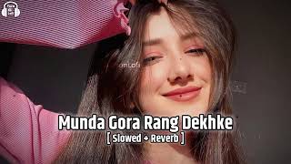 Munda Gora Rang Dekh Ke  Slowed amp Reverb  Udit Narayan  Alka Yagnik  Mithun Chakraborty [upl. by Grim]