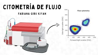 Determinación de analitos solubles por citometría de flujo LEGENDPlex [upl. by Takeshi]