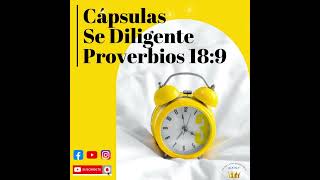 Cápsulas  Se diligente  Proverbios 189 devocionaldiario capsulasdefe diligente [upl. by Palila]