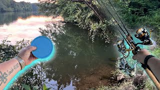 Ultralight Rod comparison  bank fishing with worms [upl. by Tito241]