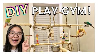 DIY BIRD PLAY GYMSTAND  Easy and Affordable PVC Play Gym For Birds [upl. by Notsrik]