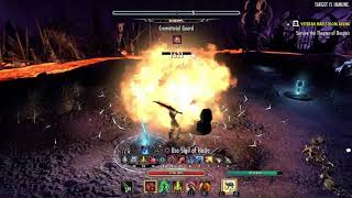 2H Stam NB Woodelf Flawless VMA Ps4 Summerset patch [upl. by Ellehsyt]