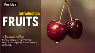 Pharmacognosy 1 Fruits   Introduction [upl. by Florencia]