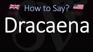 How to Pronounce Dracaena CORRECTLY [upl. by Haniraz]