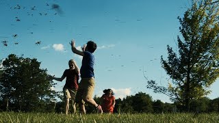 Black Fly Season in Upstate New York feels like a horror movie [upl. by Rouvin]