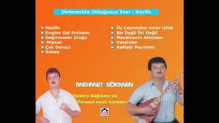 Elektro Bağlama ile Yöresel Oyun Havaları Mehmet Gökmen  Nazife [upl. by Euqinim]