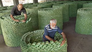 Amazing Way They Stack Millions of Olive Soap Bars by Hand [upl. by Publia]