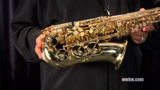 Etude EAS100 Student Alto Saxophone [upl. by Phineas]