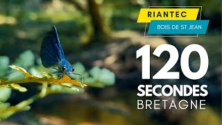 Riantec Morbihan  120 secondes  Drone 4K [upl. by Ynelram]