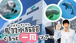 鳥羽水族館行く前に見て！100倍楽しくなる水族館ツアー （ラッコ・ジュゴン・イルカ）Toba aquarium japan [upl. by Efi]