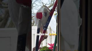 Cockatoo wants to help Oh Really 🤣🤣🤣 cockatoo parrot birds tricks [upl. by Bettencourt]