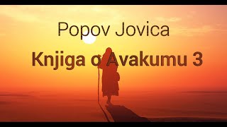 Popov Jovica  Knjiga o Avakumu 3 [upl. by Eeznyl]