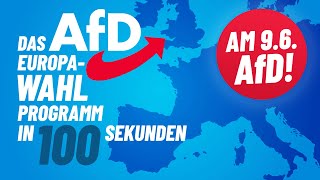 AfD Europawahlprogramm in 100 Sekunden [upl. by Worrad972]