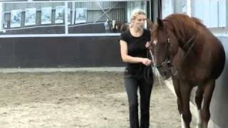 Prince Elmelund  Work at hand  Trot [upl. by Trisa]