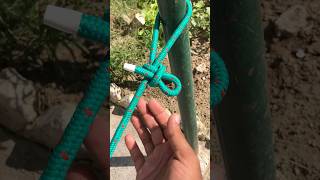 One Most Useful Knots In The World [upl. by Giovanni423]