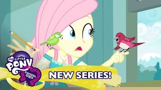 My Little Pony Equestria Girls Sezon 1 Polska  Ptasie Opowieści 🐦 Ekskluzywny Krótki [upl. by Sutniuq]