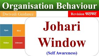 Johari Window Self Awareness johari window in hindi johari window explained OB [upl. by Halle]