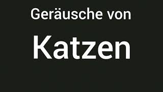 Geräusche von Katzen 🔊 [upl. by Tnerual]