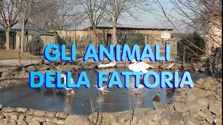 GLI ANIMALI DELLA FATTORIA [upl. by Cilo42]