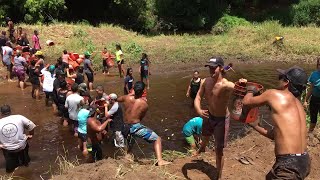 Hundreds of community volunteers work to restore Waimea River [upl. by Ellehcsor]