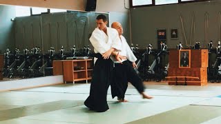 Aikido Katate dori gyaku hanmi by Daniele MONTENEGRO sensei  Bologna 2024 Part 12 [upl. by Annohsat]