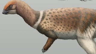 Morrosaurus Antarcticus Dinosaur Vote Vota por el Prehistoric World Game prehistoric antartida [upl. by Brnaby]