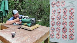 Ruger 1022 takedown accuracy test [upl. by Sheree440]