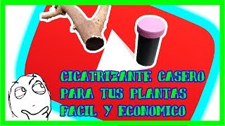 🌱como hacer PASTA CICATRIZANTE para PLANTAS MUY FACIL CASERA Y ECOLOGICA🍃 [upl. by Natek]