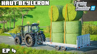 CUNNING PLAN GETS OUR FIRST SHEEP  Farming Simulator 22  HautBeyleron  Episode 4 [upl. by Ennirroc]