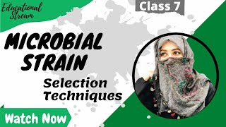 Microbial Strain Selection Techniques  Fermentation Biotechnology  English amp Urdu [upl. by Ezarras]