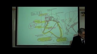 ANATOMY CIRCULATORY SYSTEM PART 4 CARDIAC DISORDERS by Professor Fink [upl. by Oilla169]