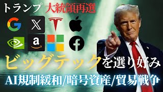 【徹底解説】トランプの勝利でテック業界への影響は？AI規制への撤廃暗号資産の発展SNSの自由化 [upl. by Amaral]