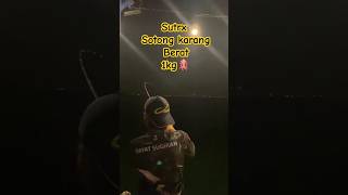 Mancing sotong di pinggiran laut batam [upl. by Jenelle]