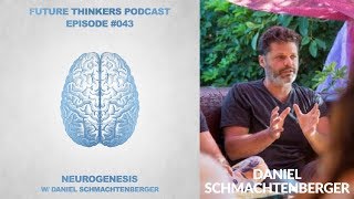 43 Daniel Schmachtenberger  Neurohacking amp Neurogenesis [upl. by Carew]