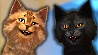 DEUX CHATS SUR BAZOOCAM LE RERETOUR [upl. by Nicko]