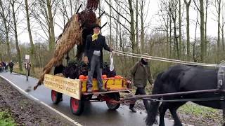 Blije boeren wandelen naar Binnenhof om landbouwminister te steunen in stikstofaanpak [upl. by Timi211]