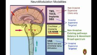 Tactile Communication Neurorehabilitation Laboratory TCNL Update [upl. by Podvin843]