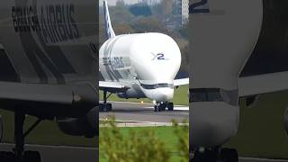 Air Bus Beluga Plane science aviation plane facts [upl. by Vincent]