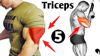 My Top 5 Exercises For Bigger Triceps  Triceps Workout [upl. by Okomot]