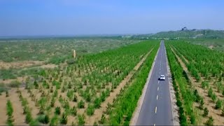 Can the Great Green Wall stop desertification in China [upl. by Waylin]