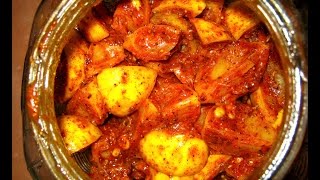 Lemon Pickle  Nimbu ka achar [upl. by Lovett]