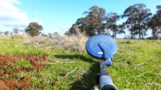 Minelab SDC2300 Gold Nugget find [upl. by Llebana]