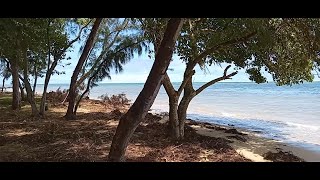 MAURITIUS  BAIE DU CAP BEACH AND LA PRAIRIE LE MORNE  FRIDAY 26 JANAURY 2024 [upl. by Negaet37]